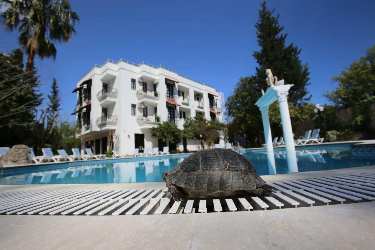 Green Valley Hotel Κεμέρ Εξωτερικό φωτογραφία